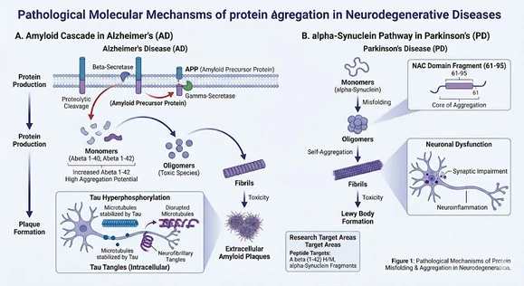 neurodegeneration-protein-aggregation-mechanisms neurodegeneration-protein-aggregation-mechanisms