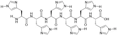 6×پپتید او