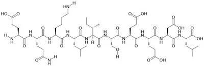 پپتید Myc Epitope