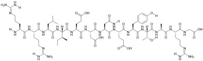محل اتوفسفوریلاسیون Pp60(v-SRC)، سوبسترای پروتئین تیروزین کیناز
